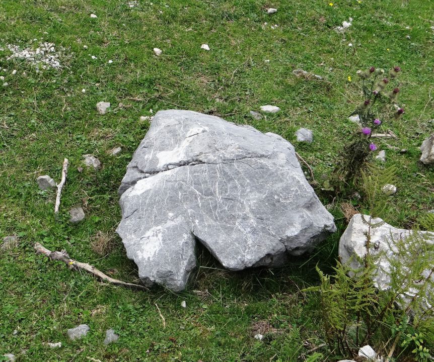 ...malo naprej pa tole ogromno srce (kakih 100 kg)...