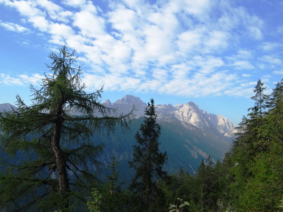 Vrtaško Sleme-15.8.2012 - foto povečava