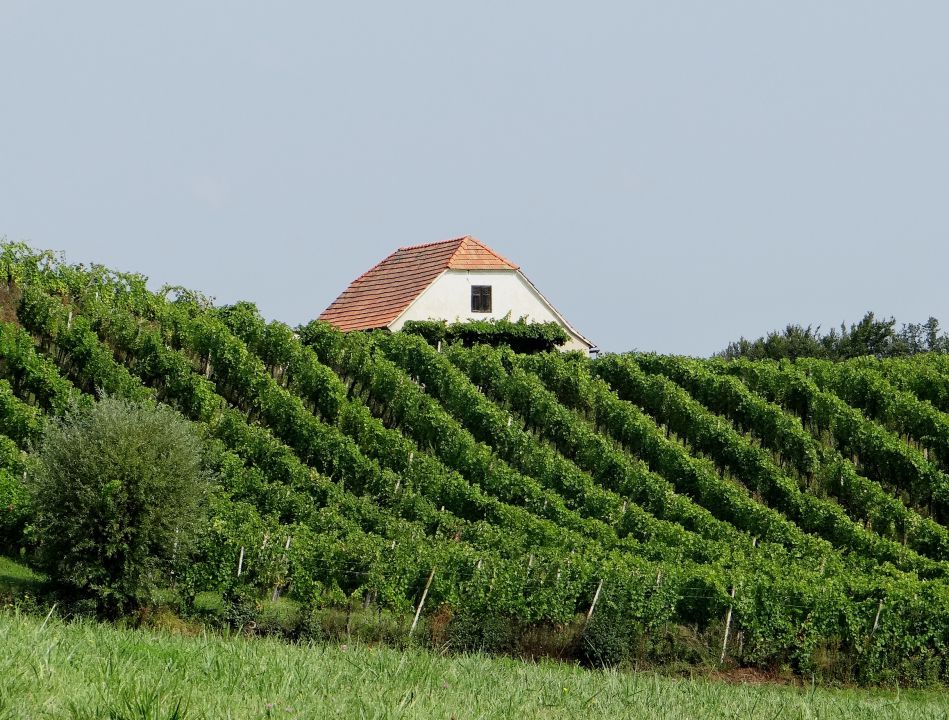 Kozjanski krog – 2.9.2012 - foto povečava