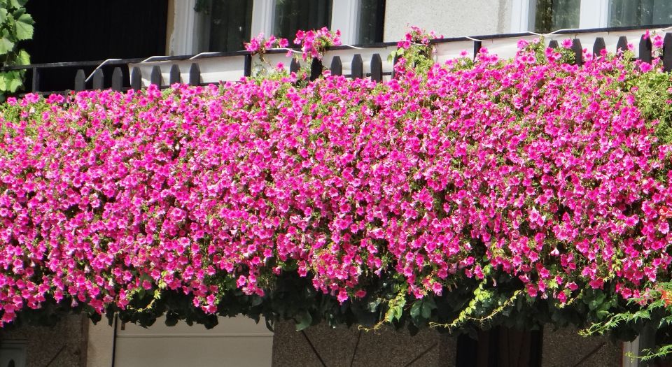 balkon pri sosedih gostilne