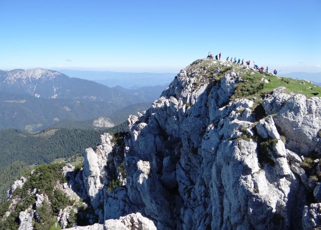 Raduha je na eni strani travnata in lahko dostopna, na severno stran prepadna