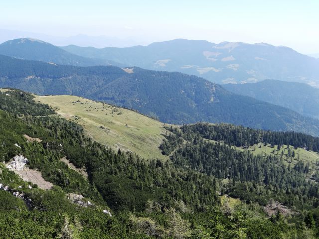 Travniki laneža