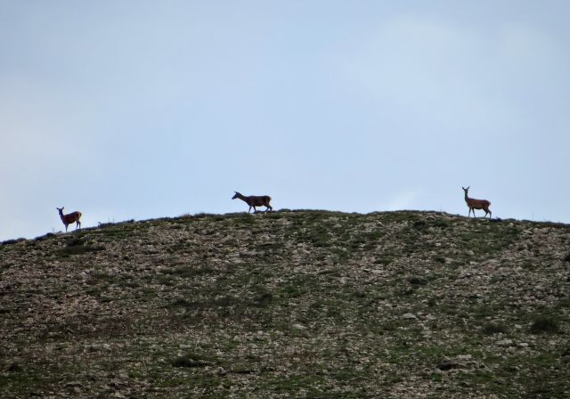 Grobničke Alpe–29.9.2012 - foto