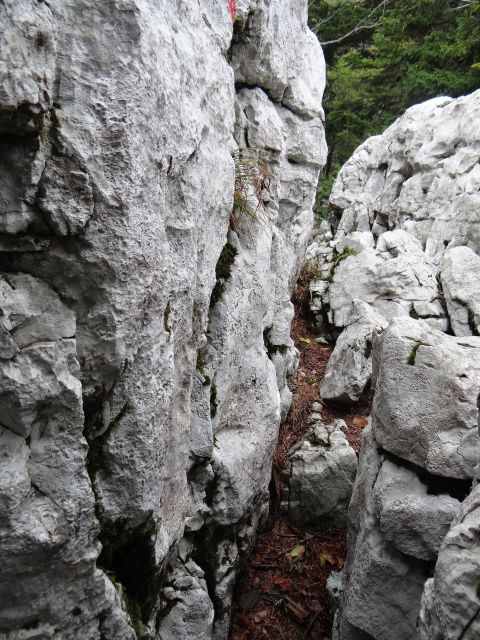 Ozek prehod, še dobro da sva malo shujšani...