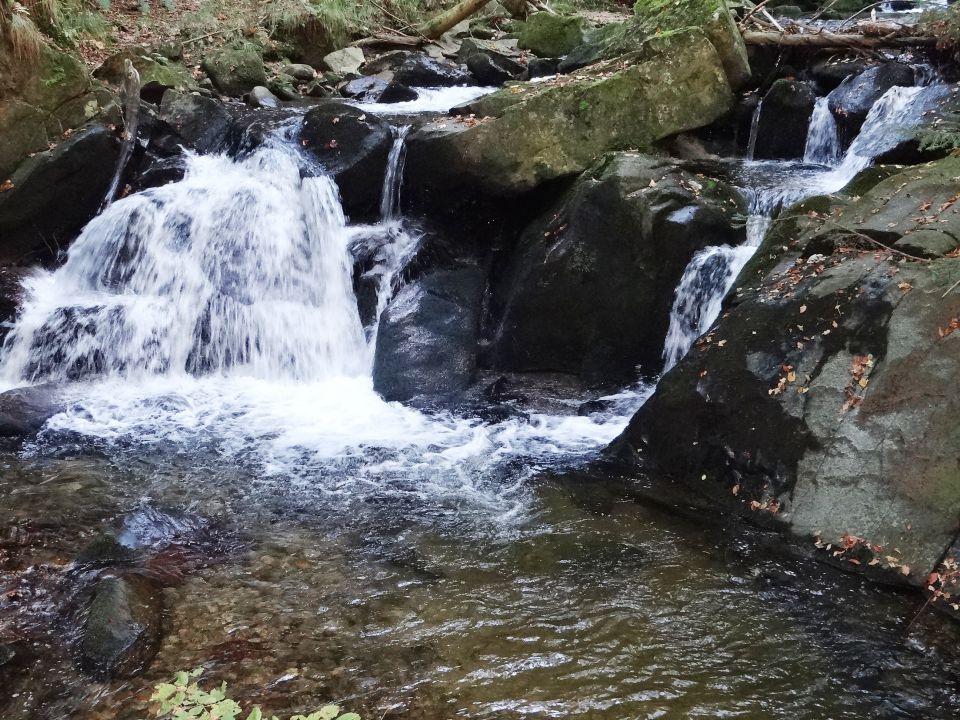 Bistriško Pohorje – 6.10.2012 - foto povečava