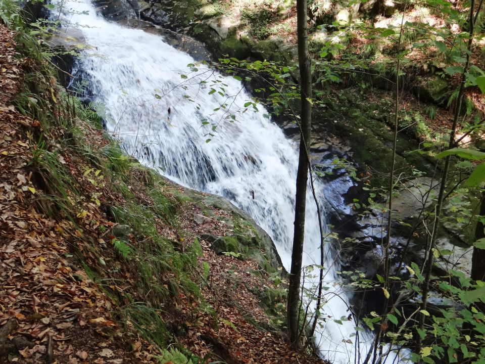 Bistriško Pohorje – 6.10.2012 - foto povečava