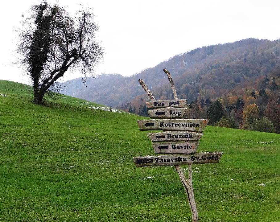 začetek poti v bližini gostišča vidrgar, najprej kakšna 2 km po cesti...