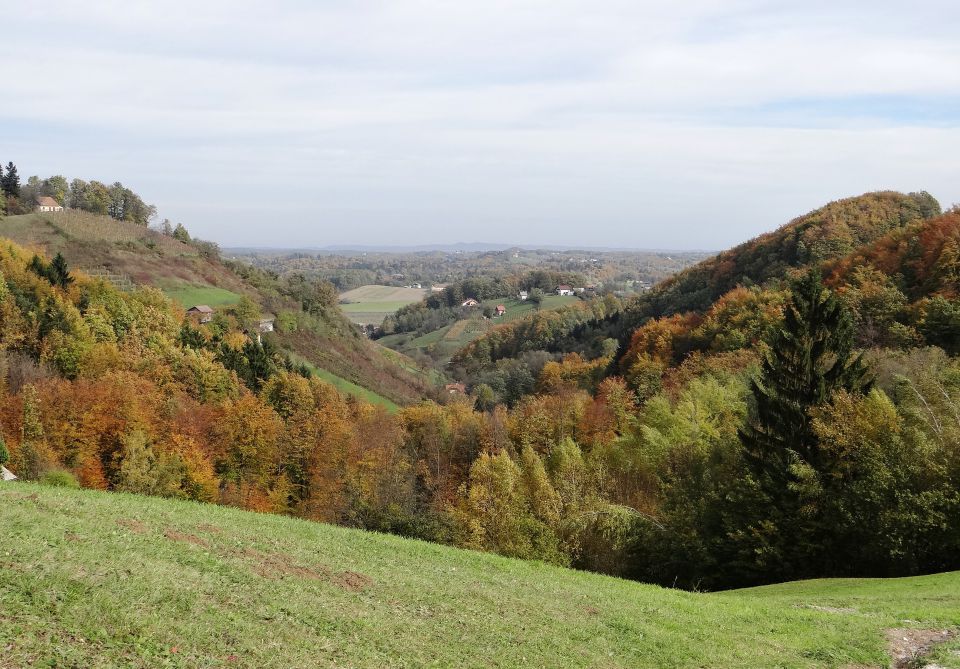 pot je res razgledna na vse strani