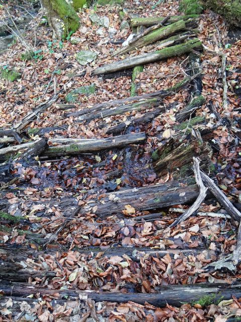 Lesena bruna, ki so olajšala hojo čez blatne predele, je voda uničila