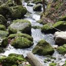 pogled od izvira navzdol
