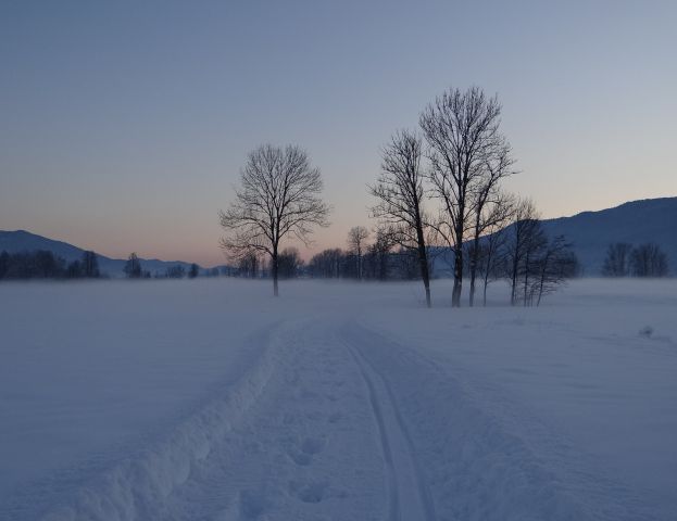 Po polju za Nemško vasjo-12.12.2012 - foto