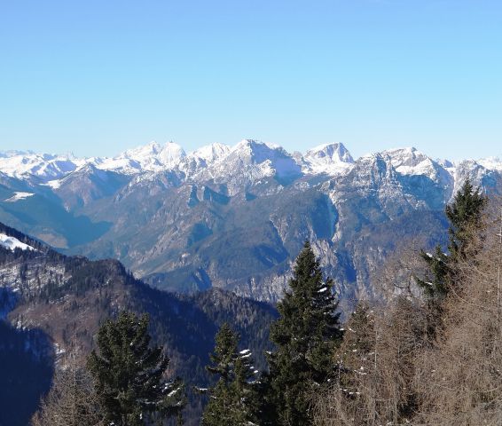 Karnijci, razpoznam le konjski špik