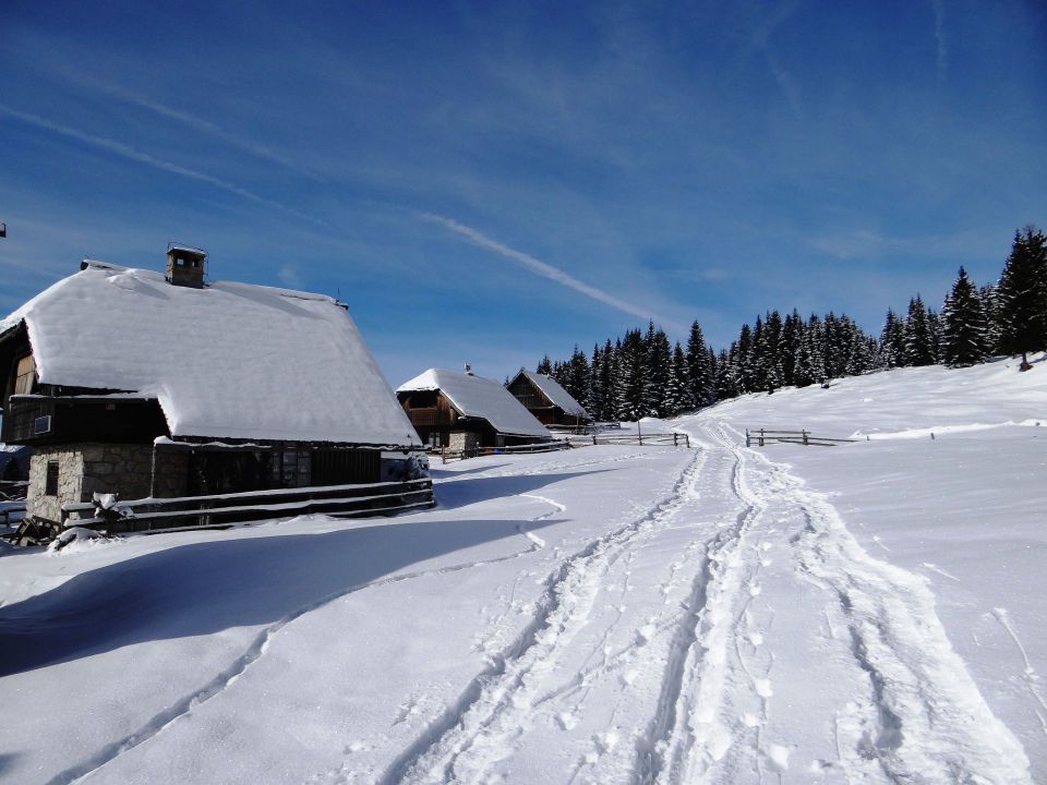 Pokljuka - 27.1.2013 - foto povečava