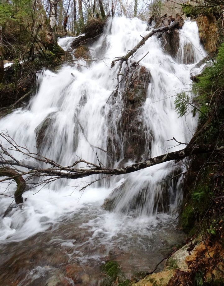 Nežica - 3.2.2013 - foto povečava