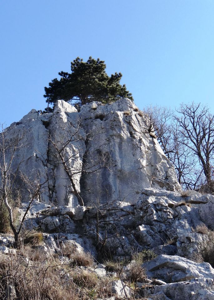 divja skalne oblike na planoti nad dolino Glinščice (Mali Kras, Gradišče)