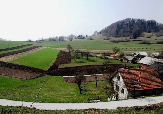 Polja okoli vasi Čimerno