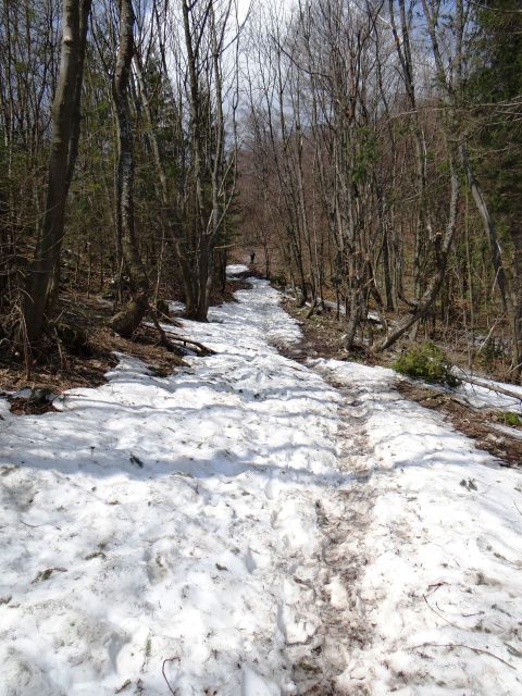 Zadnji del poti pod vrhom je po mokrem snegu in blatu