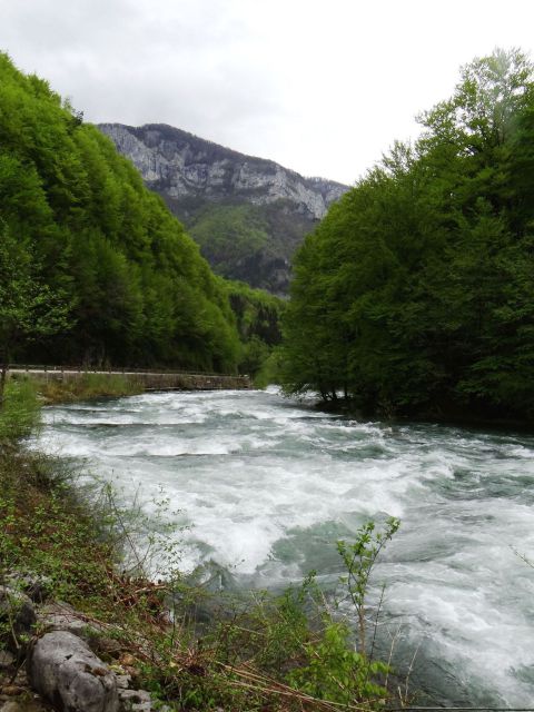 Tole bi bil divji rafting