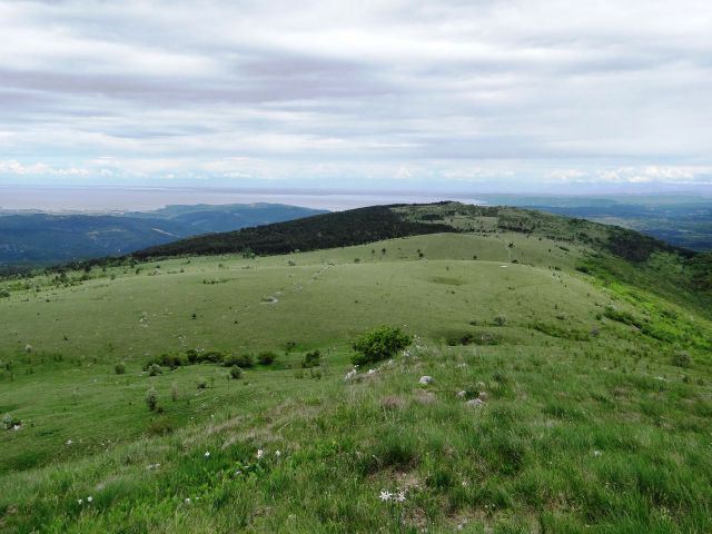 Pogled z goliča nazaj proti kojniku