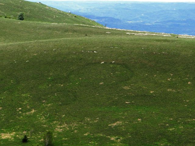 Skrivnostni krogi pod kavčičem