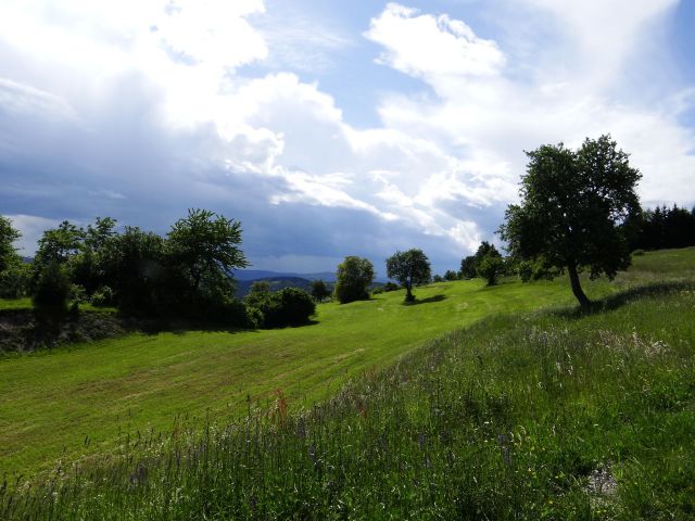 Pred nevihto, 5.6.2013