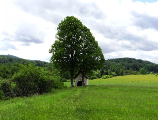 Proti kapelici