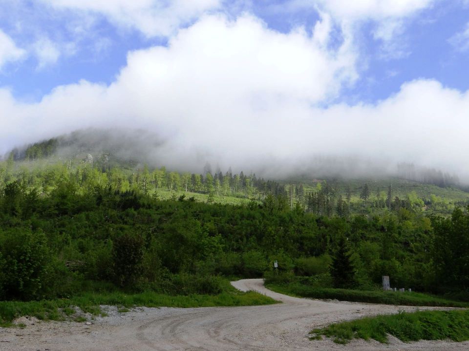 na izhodišču, Kranjska reber je v oblakih