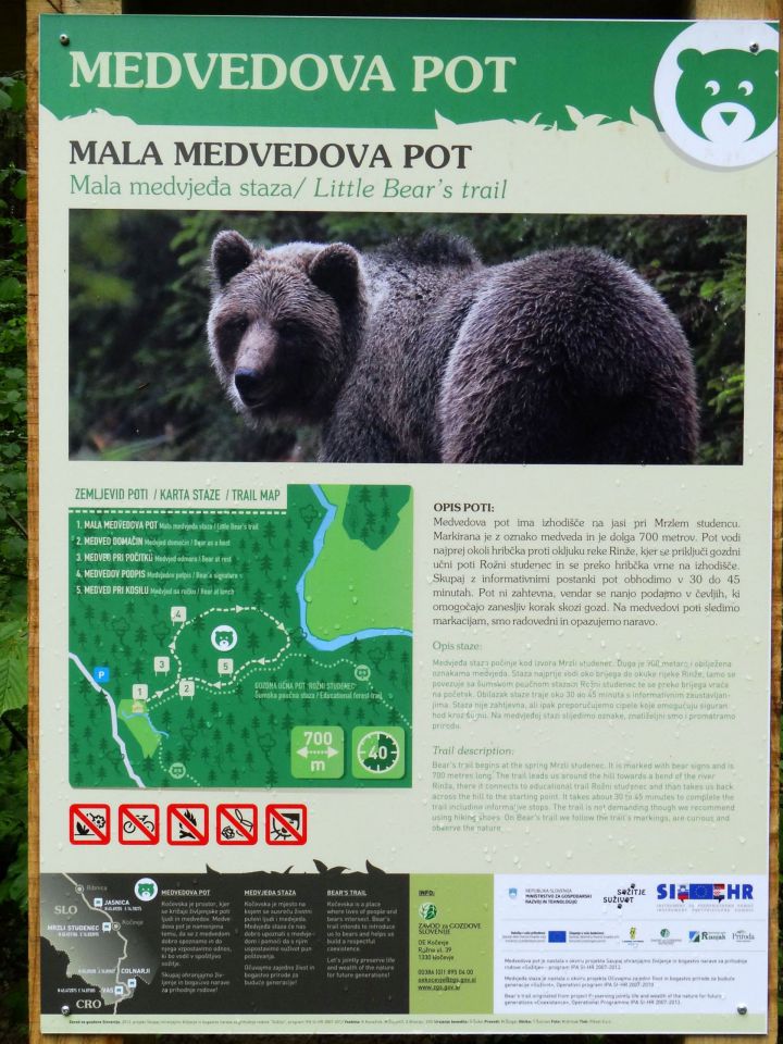 mala medvedova pot, tudi nekaj novega