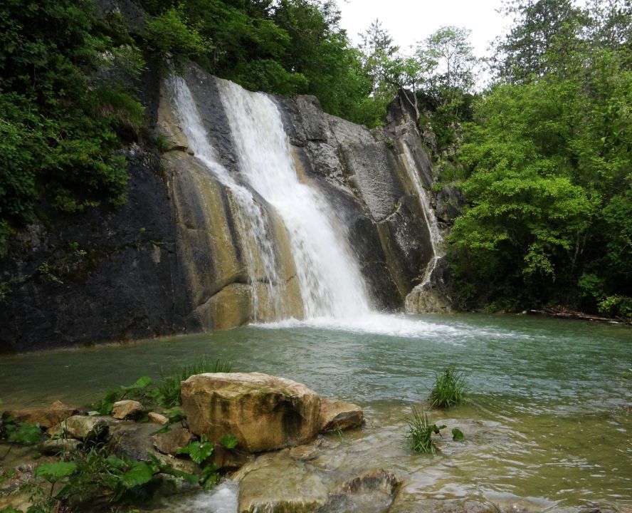 Slovenska Istra-2.6.2013 - foto povečava