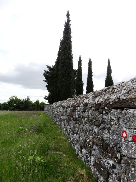 Pokopališki zid