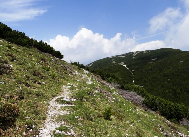 Stezica nazaj proti belski planini