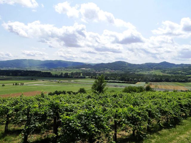 Razgled izpred dvorca na vipavsko dolino