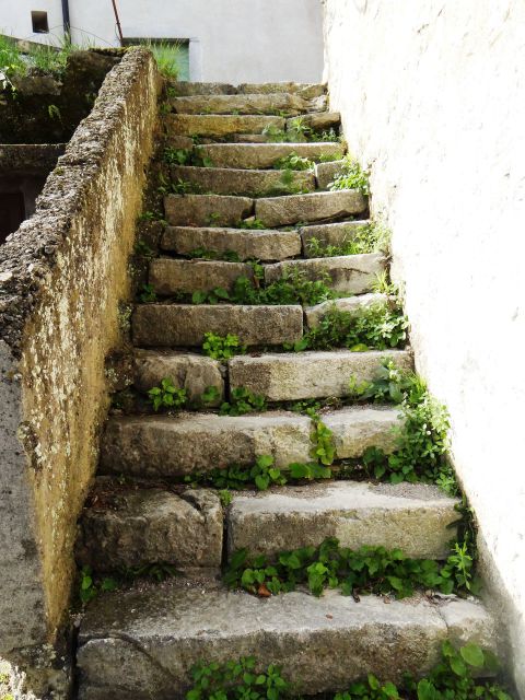 Ozelenele stopnice