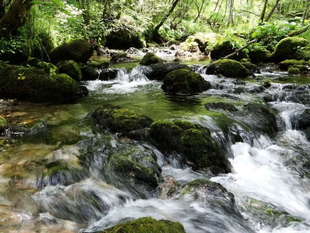 Osilniška dolina-29.6.0213 - foto