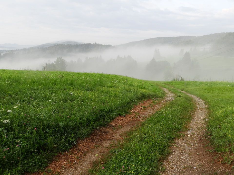 velike lipljene, julij 2013