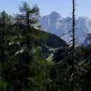 viharnik in škrlatica