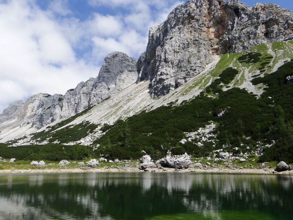 mala tičarica, hišna gora koče pri triglavskih jezerih