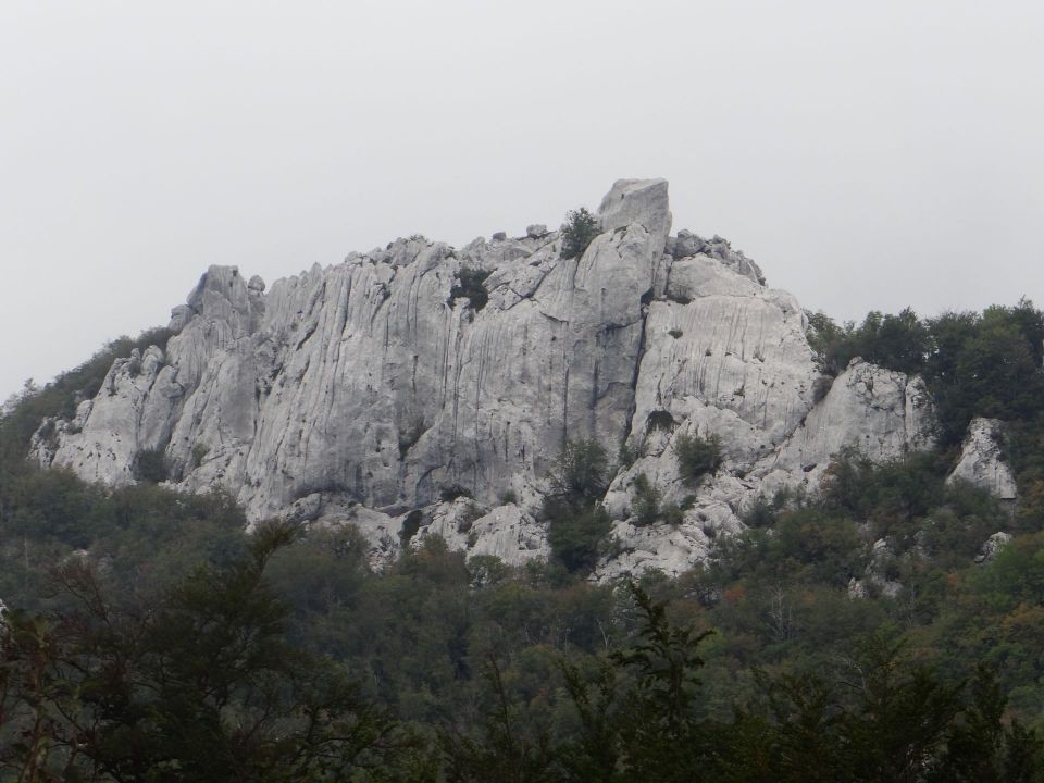 približan eden od številnih kukov, morda žuti kuk?