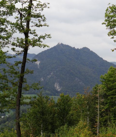 Pogled na Sv. Lovrenc ali Goro