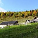 lešanska planina, nad njo macesnov gozd, ki že dobiva rjavo-zlate odtenke