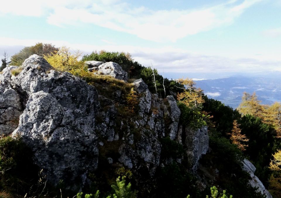Dobrča, Šentanski vrh-13.10.2013 - foto povečava