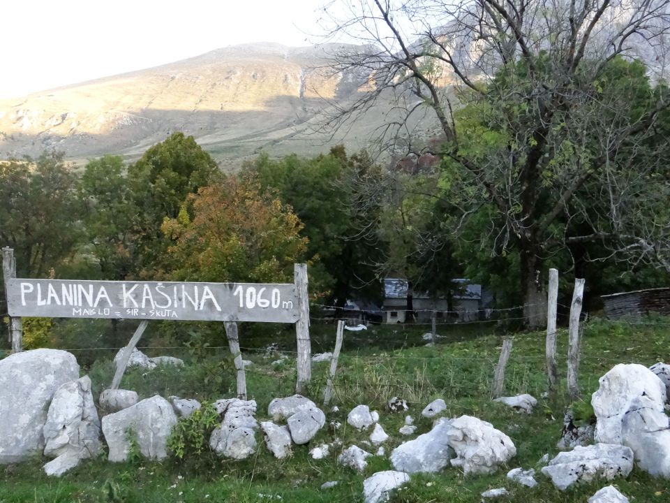 planina kašina je skrita med drevjem