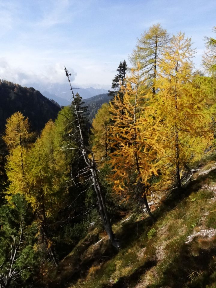 Trupejevo poldne-20.10.2013 - foto povečava