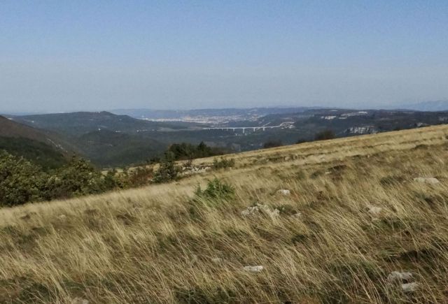 Pogled proti morju, viadukt črni kal