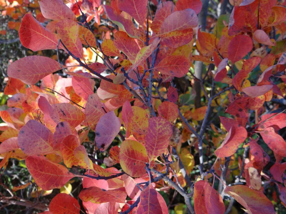 Okoli Movraške vale-31.10.2013 - foto povečava