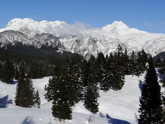 Planjava in ojstrica