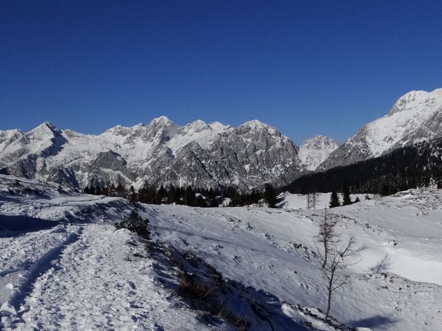 Pred zelenim robom se odpre panorama ksa z grintovcem na čelu