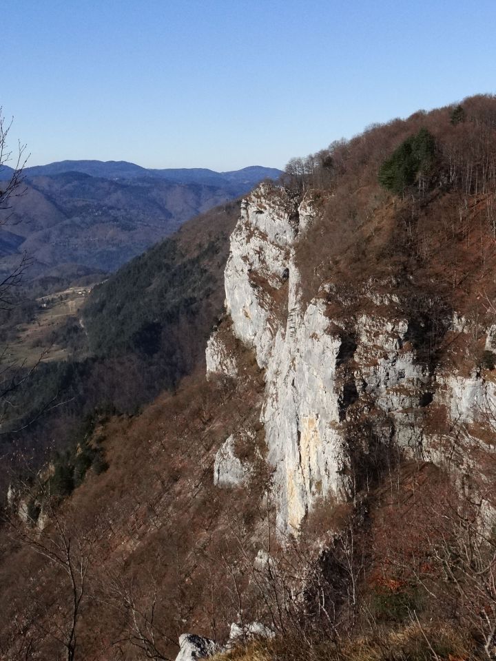 ostenja v smeri osilnice