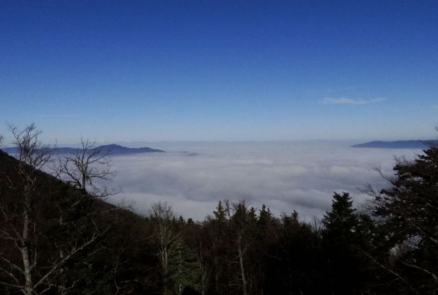 Na vrhu, nad megleno odejo