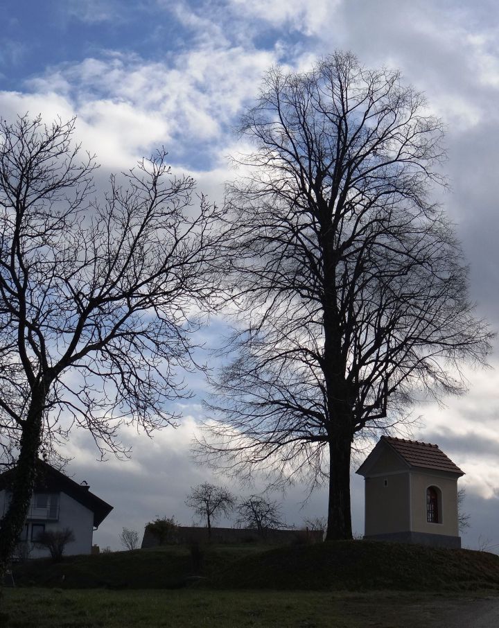 tale je lepo umeščena na privzdignjeno mesto, poleg drevesa...